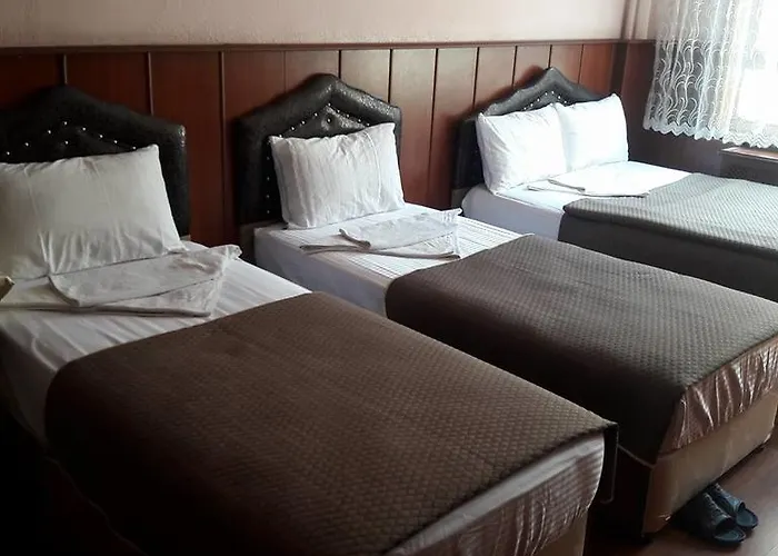 Vandrerhjem Ottoman Konya